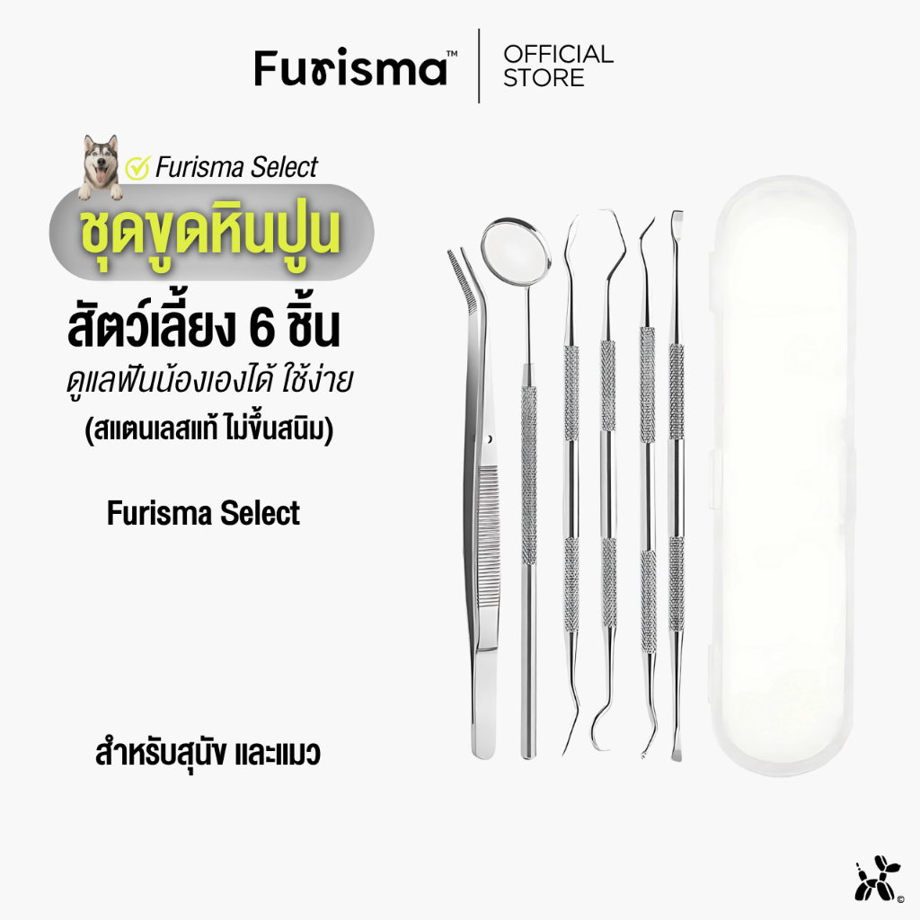 ชุดเครื่องมือขูดหินปูน สุนัข แมว 6 ชิ้น สแตนเลสแท้ ไม่ขึ้นสนิม ใช้เองได้ ปลอดภัย รุ่นเดียวกับคลินิก