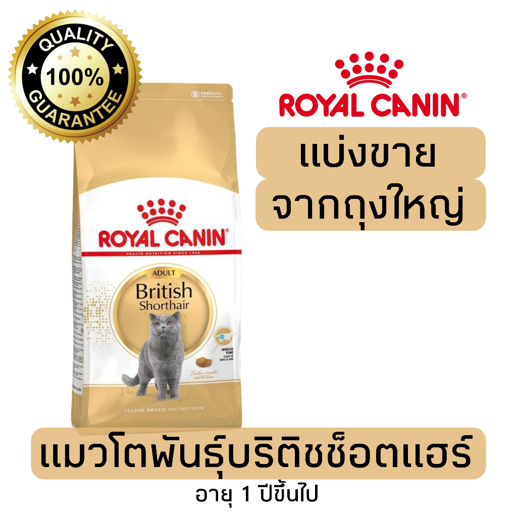 อาหารแมว Royal canin สูตร Britishบริติช 500g 800g 1kg