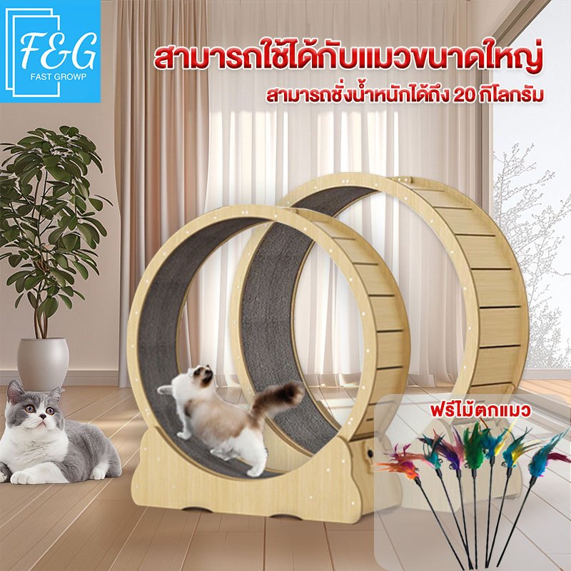 F&G ลู่วิ่งแมว cat toys ล้อวิ่งไม้ ที่ออกกําลังกายแมว ของเล่นออกกําลังกายแมว ของเล่นแมว ติดตั้งง่าย