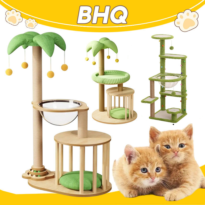 BHQ กรอบปีนแมว คอนโดแมว เสาลับเล็บแมวได้ คอนโดแมวไม้ บ้านแมว กรอบปีนแมวต้นมะพร้าว เหมาะสําหรับหลายตัว