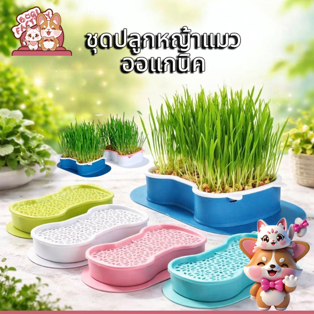 กระถางปลูกพืช หญ้า สําหรับสัตว์เลี้ยง แมว ขนมขบเคี้ยว กล่องปลูกพืช PET-002