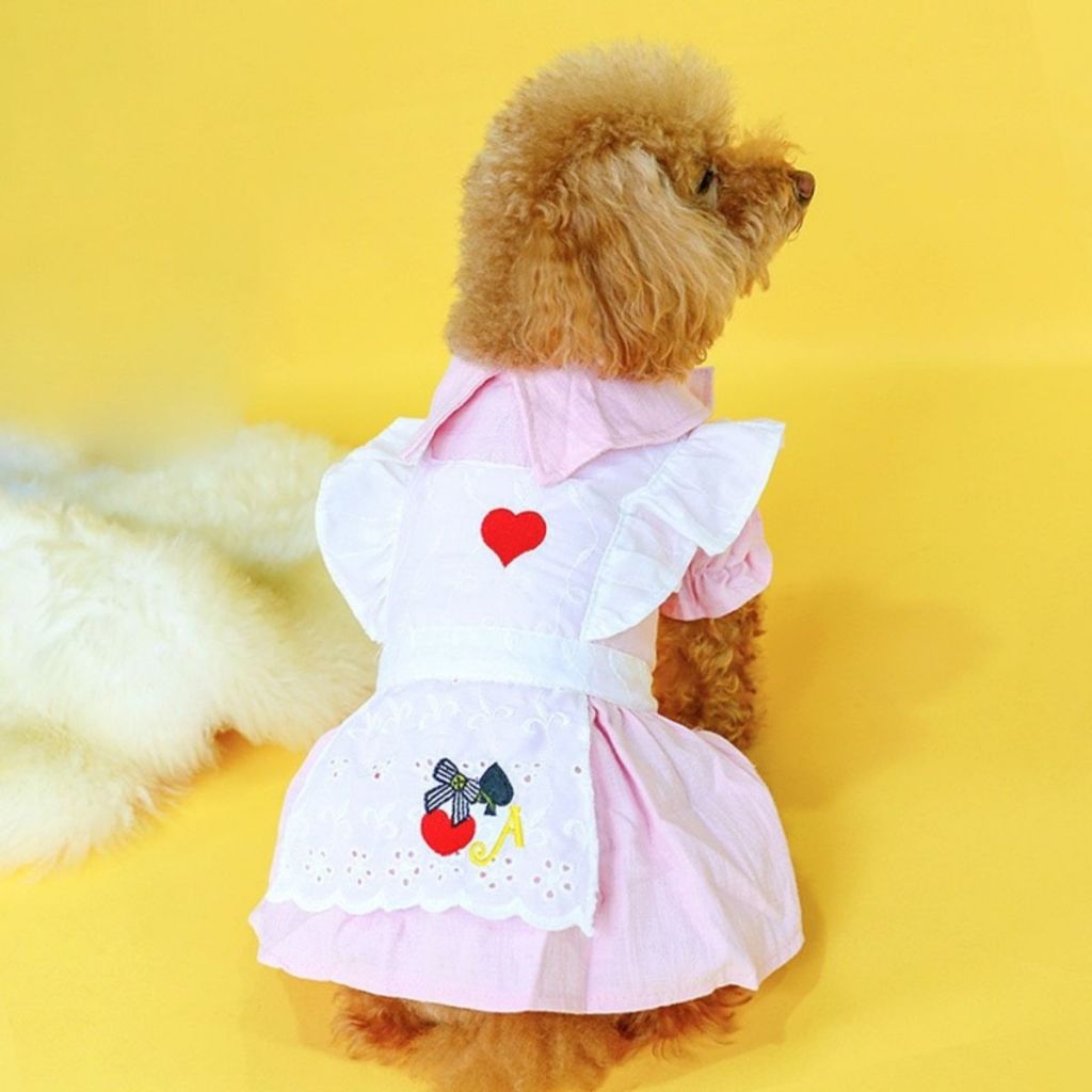 เสื้อสีขาวลายดอกเดซี่ สดใส เสื้อหมา เดรสแมว ชุดกระโปรงสุนัข สัตว์เลี้ยง Daisy Pet Dress Student ตาราง Coffee British