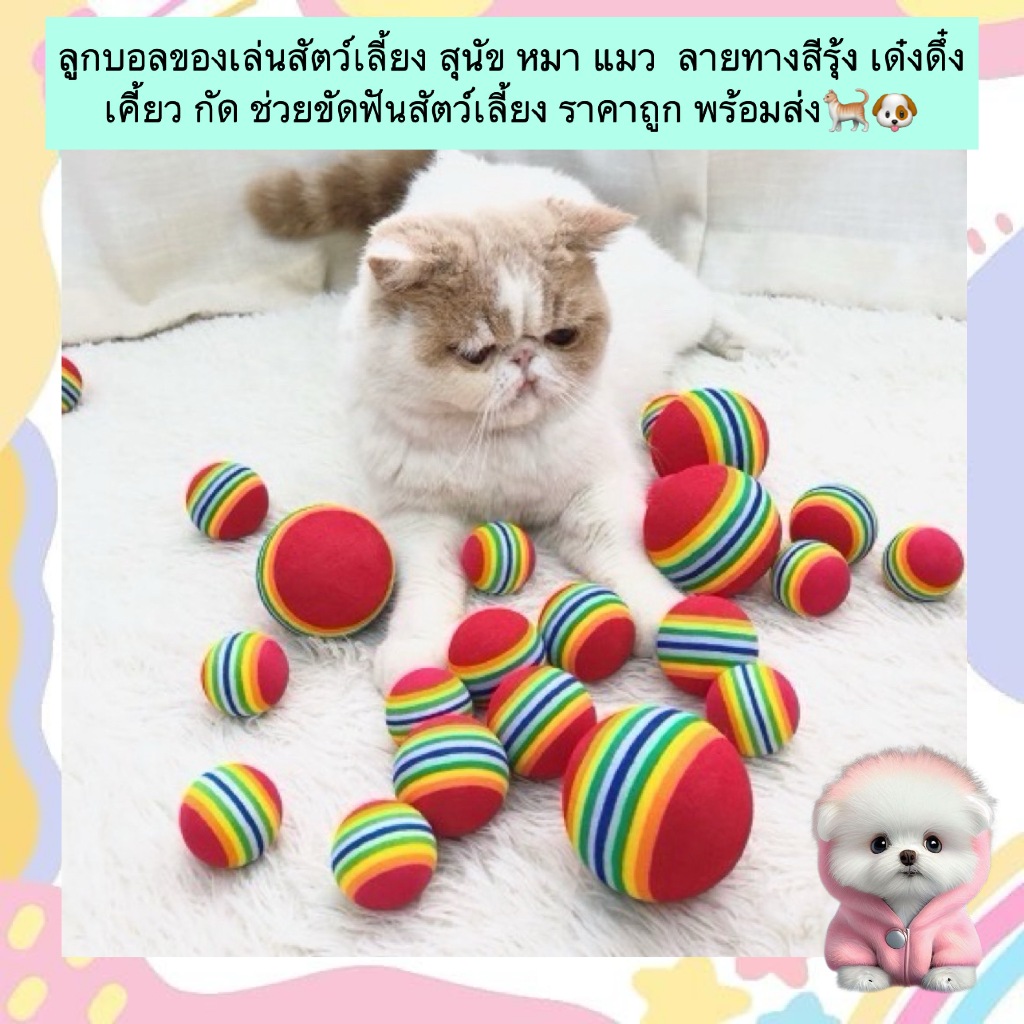 AL-525 ลูกบอลของเล่นสัตว์เลี้ยง สุนัข หมา แมว ลายทางสีรุ้ง เด๋งดึ๋ง เคี้ยว กัด ช่วยขัดฟันสัตว์เลี้ยง ราคาถูก