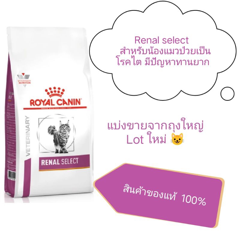 Royal canin Renal select แมวเป็นโรคไต กินยาก