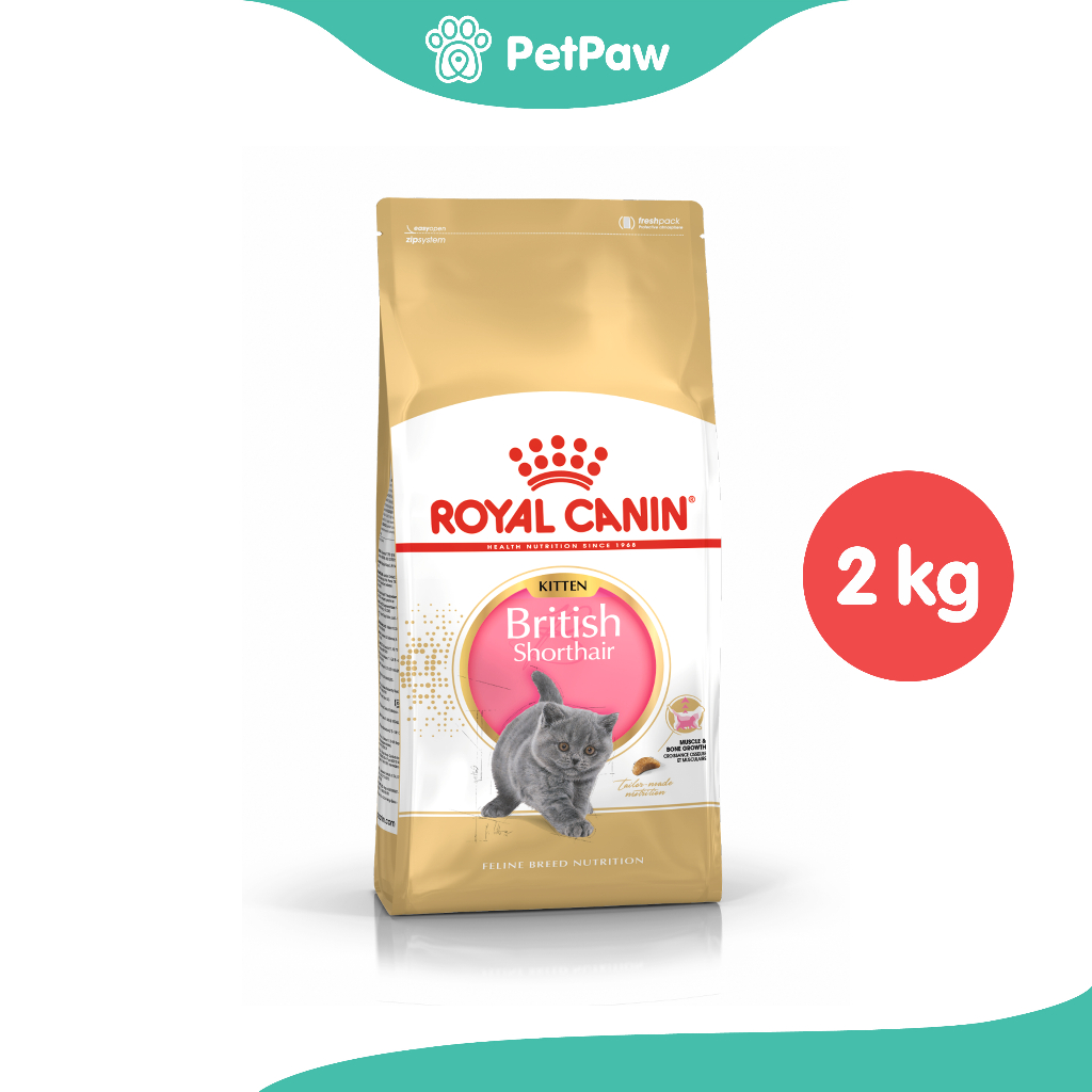 Royal Canin KITTEN BRITISH SHORTHAIR ลูกแมวพันธุ์ บริติช ชอร์ทแฮร์ 2 kg