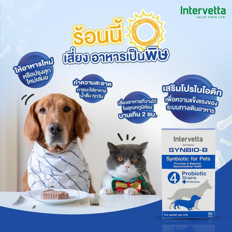 Intervetta Synbio-b (หมดอายุ 01/27) โพรไบโอติก + พรีไบโอติก เพื่อปรับสมดุลลําไส้ ทางเดินอาหาร สําหรับสุนัข-แมว