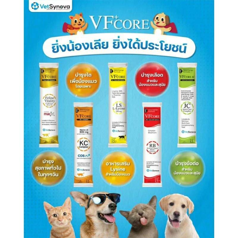 1 ซอง VFcore อาหารเสริมไลซีน บํารุงเลือด บํารุงข้อ เสริมวิตามิน ในรูปแบบขนมแมวเลีย