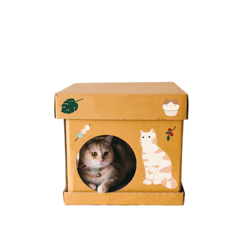 CUBE LITTLE CAT CAFE Sticker กล่องบ้านแมว สติ๊กเกอร์ลายแมวสีทอง
