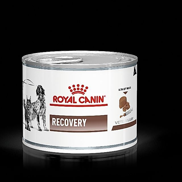 Royal Canin Recovery 195g อาหารสัตว์ป่วย หรือพักฟื้น สุนัข และแมว 1 กระป๋อง