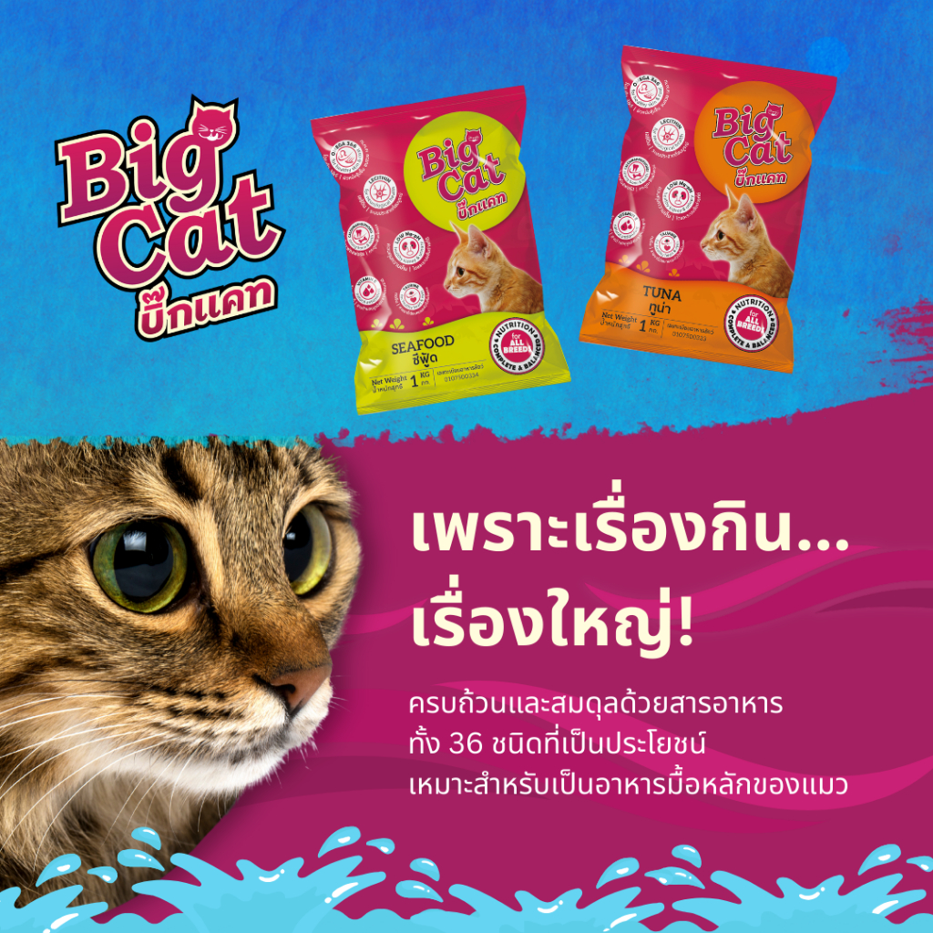 บิ๊กแคท (20กก) BIG CAT อาหารแมวโตโภชนาการครบถ้วน ไม่เค็ม