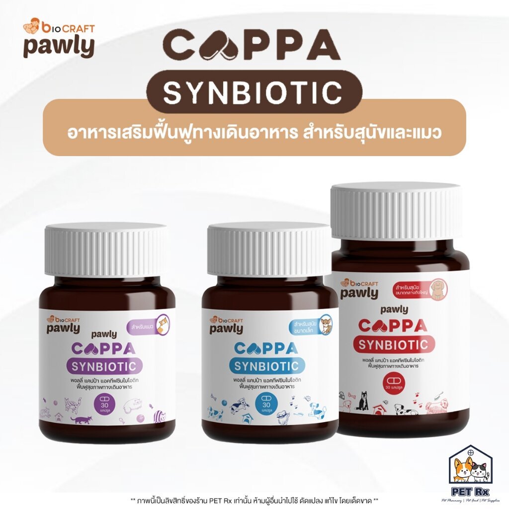 CAPPA : Synbiotic [แท้ ] อาหารเสริมแอคทีฟซินไบโอติก ช่วยฟื้นฟูทางเดินอาหารสําหรับสุนัขและแมว ชนิดแคปซูล (Pawly)