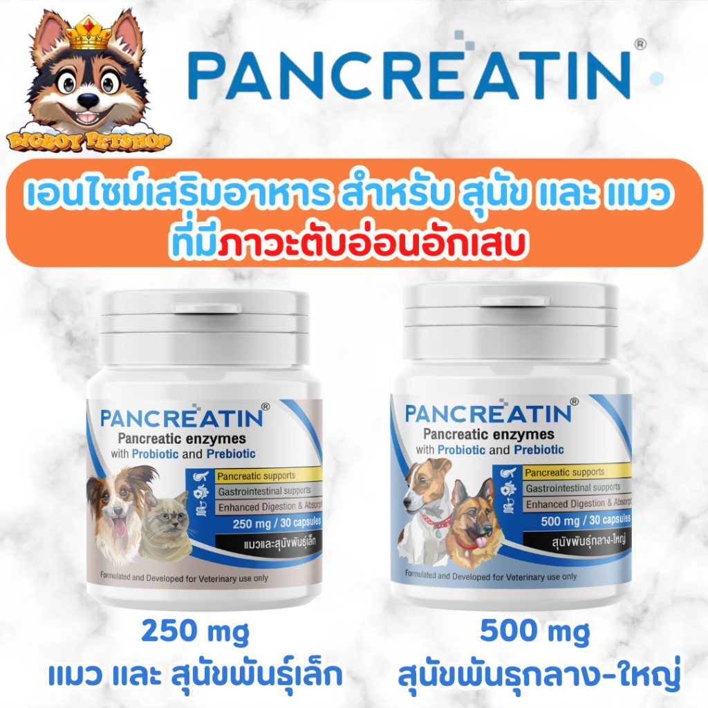 Pancreatin [ของแท้] ผลิตภัณฑ์เอ็นไซม์เสริมอาหาร สําหรับสุนัขและแมวที่มีภาวะตับอ่อนอักเสบ (แพนครีเอทิน) 30 แคปซูล (LYPEX)