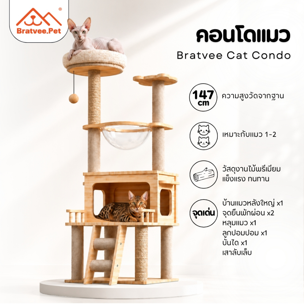 Bratvee] คอนโดแมว Cat Condo คอนโดแมวไม้ เสาลับเล็บ พร้อมหลุมนอนอวกาศ
