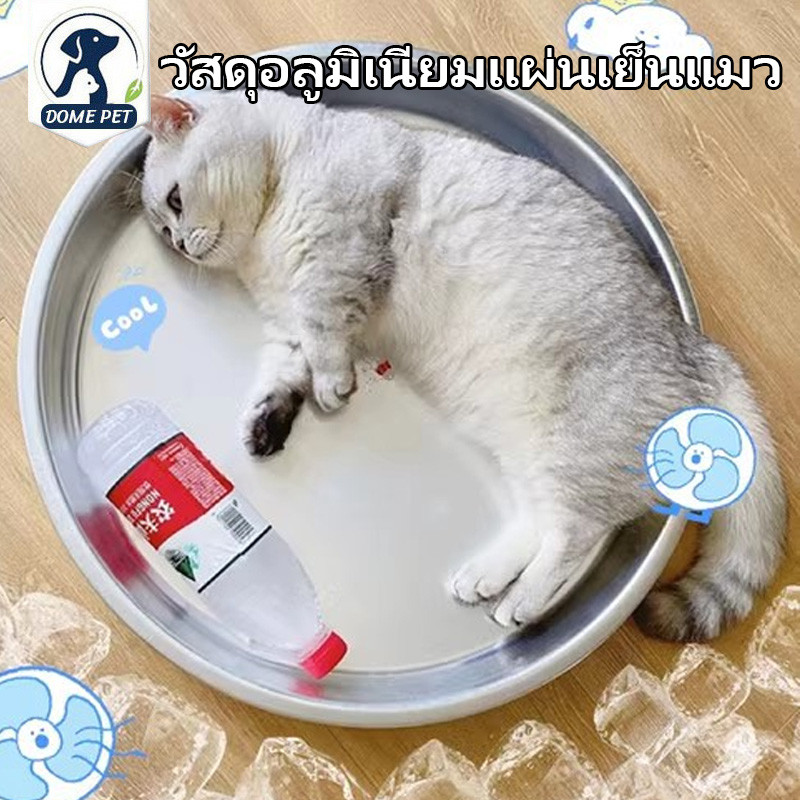 อ่างเย็นแมว สแตนเลสแผ่นเย็นแมว ที่นอนเย็น การลดอุณหภูมิทางกายภาพ สุขภาพและความสะดวกสบาย
