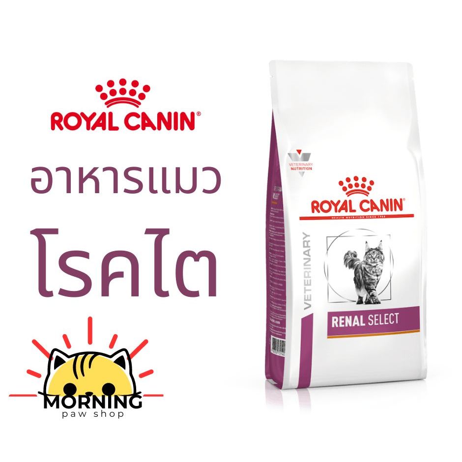 Royal Canin RENAL SELECT CAT 400 กรัม อาหารแมวประกอบการรักษาโรคไต ชนิดเม็ดสอดไส้ สําหรับแมวกินยาก เลือกกิน