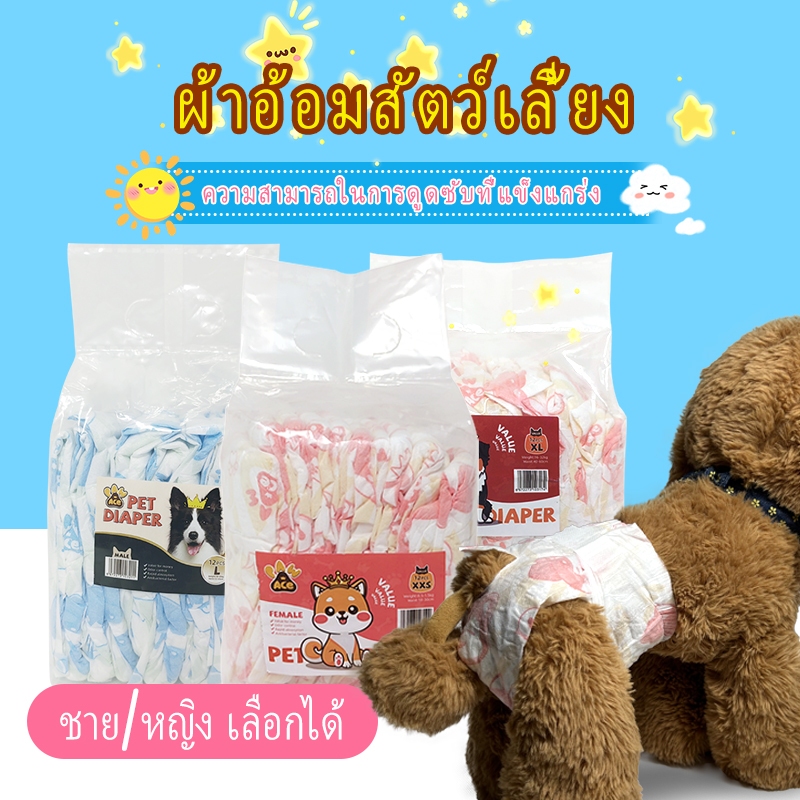 ผ้าอ้อมสัตว์เลี้ยง แมว สุนัข สัตว์เลี้ยง แผ่นรองฉี่ ผ้าอ้อม XXS XS S M L XL