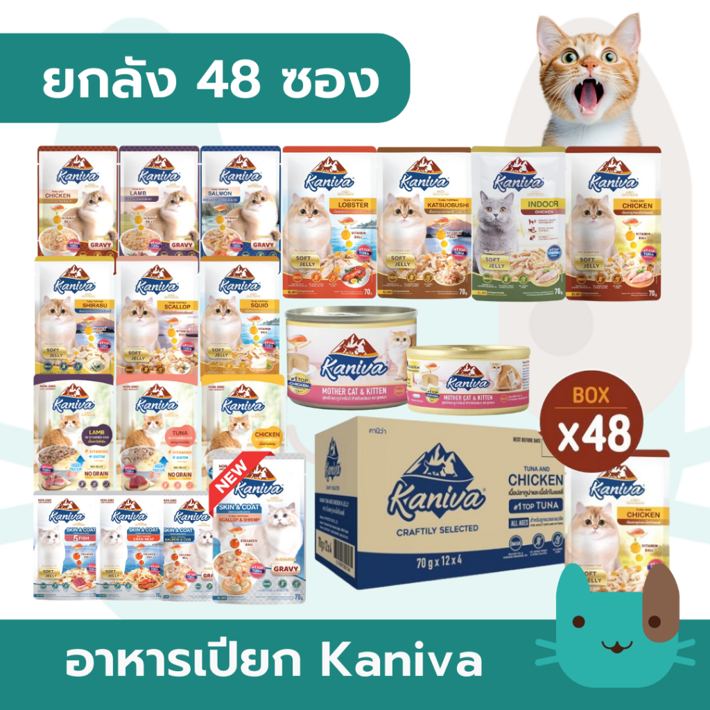 ยกลัง) Kaniva อาหารเปียกแมวคานิว่า 48 ซอง กรดพรีเมี่ยม ผสมวิตามินบอล ไม่เติมเกลือ มีโปรตีนสูง