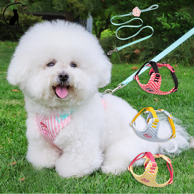 CDDMPET】สายรัดและสายจูงแบบปรับได้สําหรับสุนัขขนาดกลางขนาดเล็กแมวพร้อมตุ๊กตาตกแต่ง