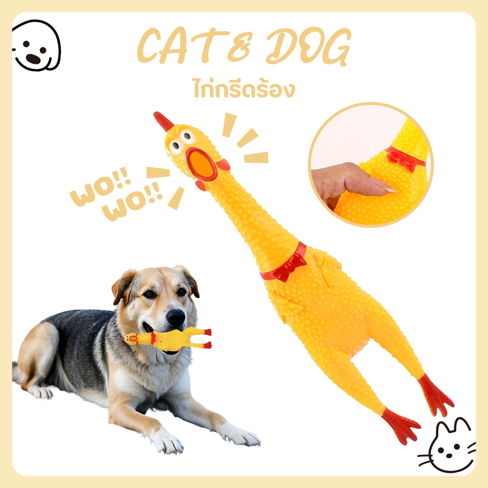 CAT&DOG】ไก่โอ๊ค ไก่บีบ ของเล่นสุนัข ของเล่นยางกัด ยางกัดสุนัข Chicken sound toy ไก่โอ๊ก ร้องหนักมาก