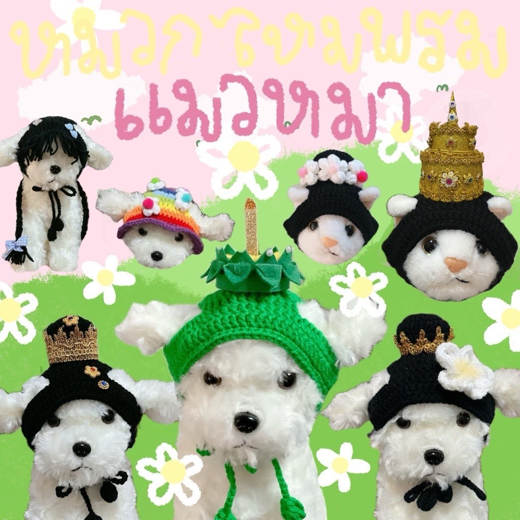 หมวกถักไหมพรมน้อนแมว หมา กระต่าย(โพสต์ที่ 3)