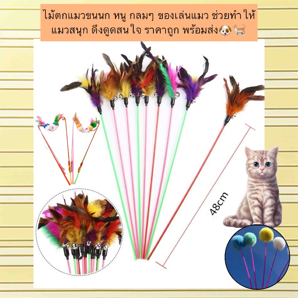 BN-593 🐾 ไม้ตกแมวขนนก | ของเล่นแมวสุดโปรด ของต้องมีสําหรับทาสแมว! ของเล่นแมวแบบไม้ล่อ พร้อมเสียงกระดิ่ง ช่วยกระตุ้นความส