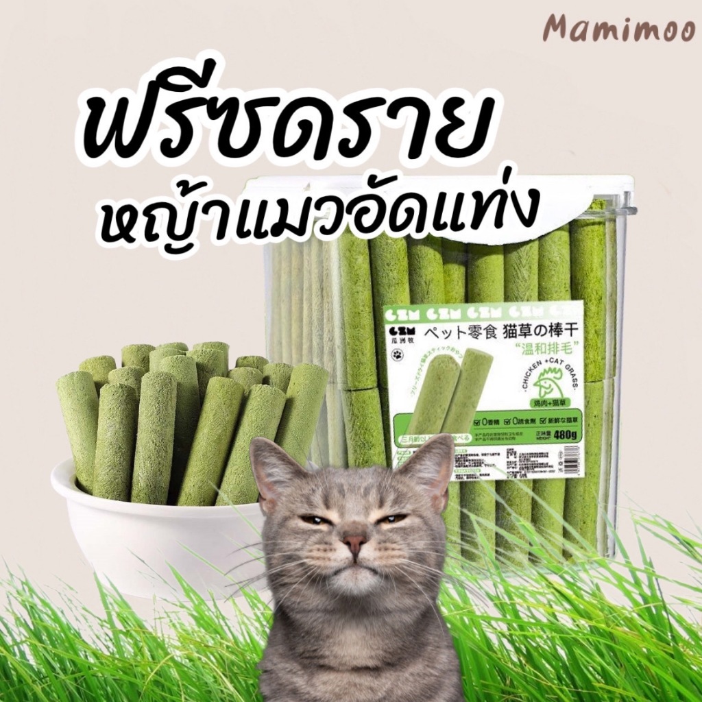 หญ้าแมวฟรีซดราย ต้นอ่อนข้าวสาลี ช่วยขับก้อนขนในลําไส้ ปรับสมดุลช่องท้อง สําหรับสุนัขและแมวทุกสายพันธุ์ อายุ 3 เดือนขึ้นไป