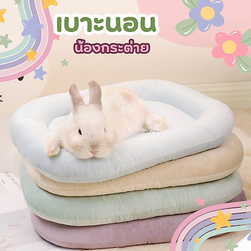 เบาะนอนสัตว์เลี้ยง เนาะนอนกระต่าย เบาะนอนแมว เบาะนอนลูกแมว ที่นอนกระต่าย แผ่นรองกระต่าย