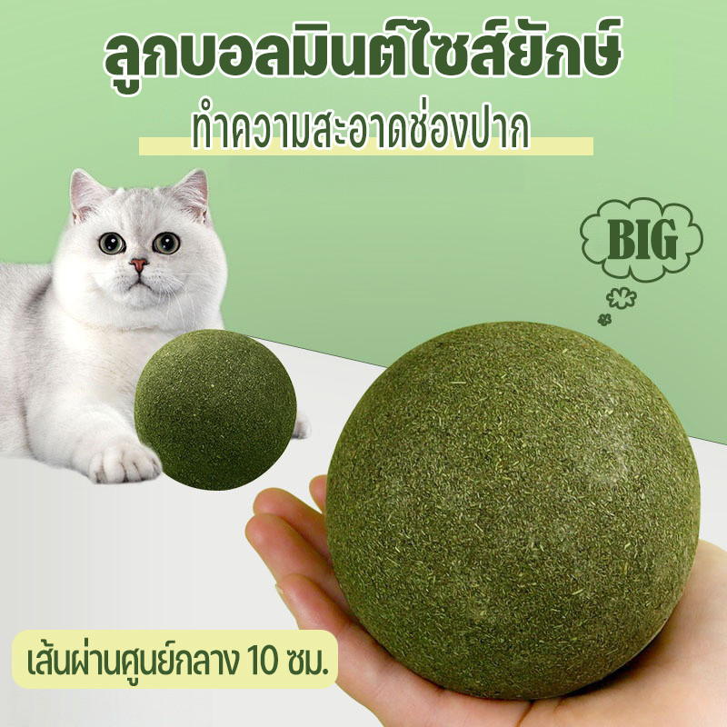 ลูกบอลมินต์ไซส์ยักษ์ กัญชาแมว 10cm ลิ่นปาก ลับฟัน ทําความสะอาดช่องปาก ขนมแมวเลีย สมุนไพรแมวเลีย