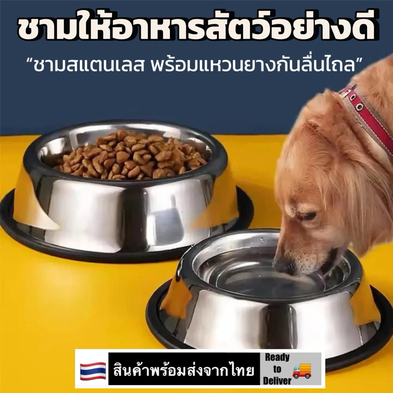 ชามอาหารสัตว์เลี้ยงแสดงตนเลส กันการลี่นไถล ขนาด 22cm/26cm/30cm Stainless Steel Dog Bowl with Rubber Base