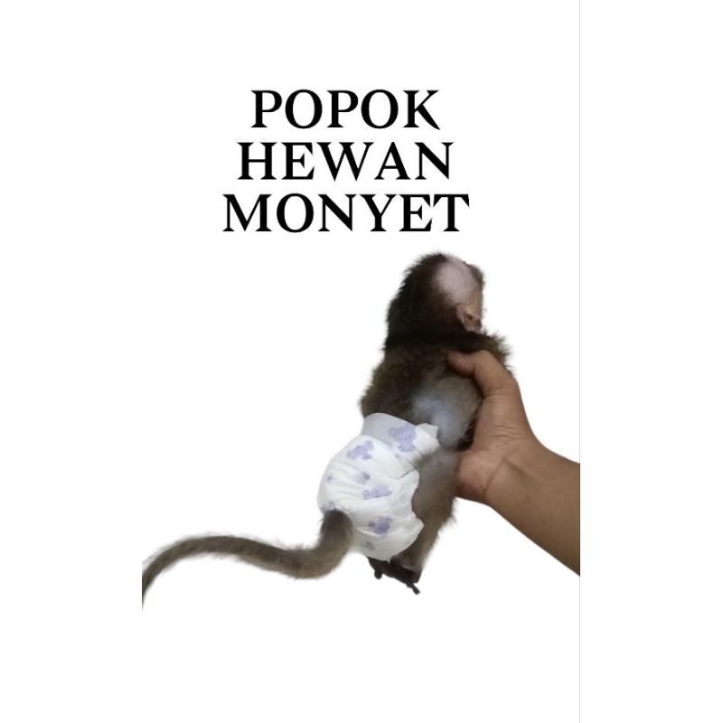 ผ้าอ้อมสําหรับลิง/แมว/สุนัข