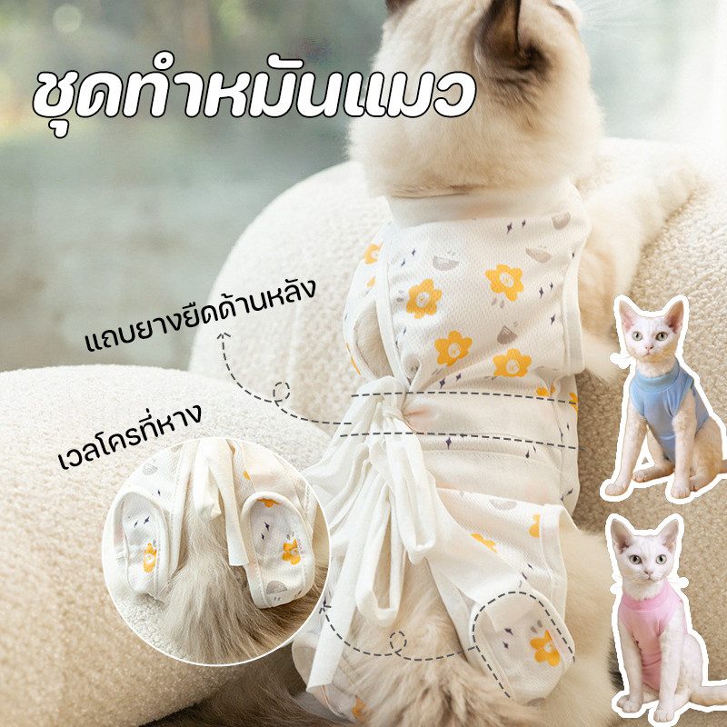 CODชุดสัตว์เลี้ยง ป้องกันเลียแผลหลังผ่าตัด เสื้อทําหมัน ชุดทําหมันแมว ชุดกันเลียแผล ผ้าตาข่าย เสื้อแมว