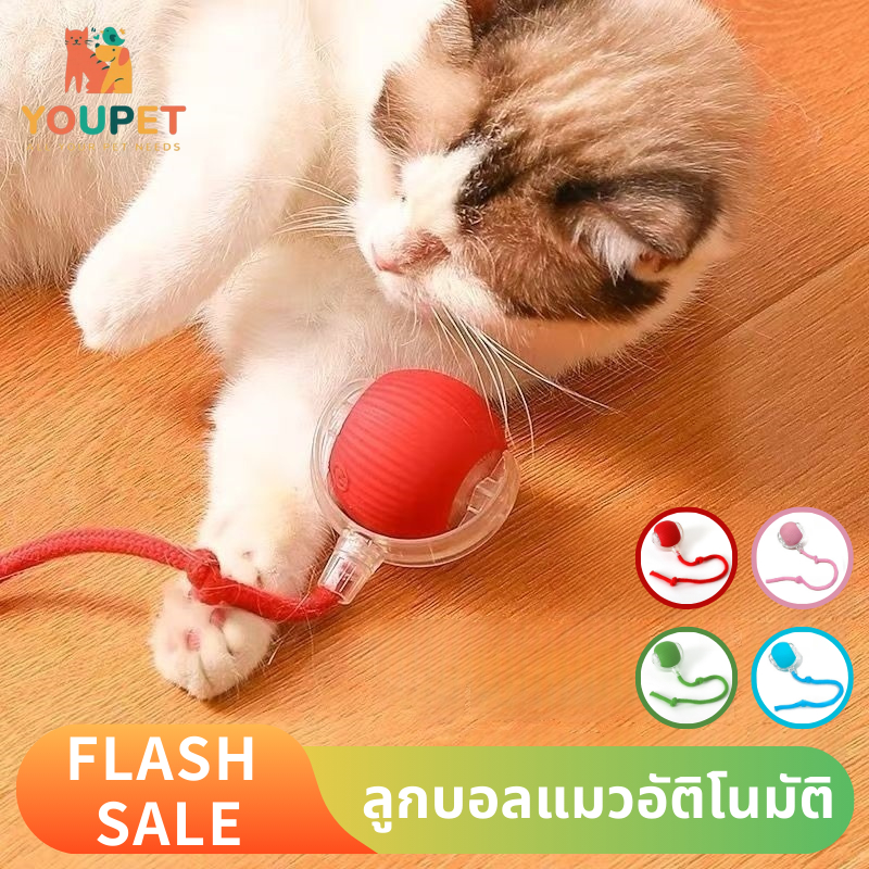 ของเล่นแมวอัจฉริยะ ของเล่นสัตว์เลี้ยงโต้ตอบ ลูกบอลแมวอัติโนมัติ เรืองแสง ชาร์ตแบตได้ สมาร์ทไฟฟ้า ในไทย