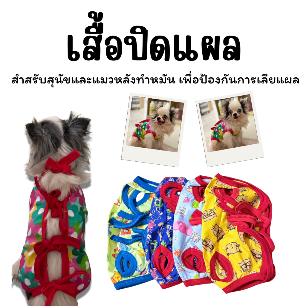 เสื้อกันเลีย เสื้อปิดแผลสําหรับสุนัขและแมว คละลาย