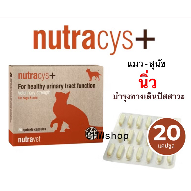 Nutracys+ [แท้ ] *มี * อาหารเสริมดูแลระบบทางเดินปัสสาวะ สําหรับสุนัขและแมว 20 เม็ด