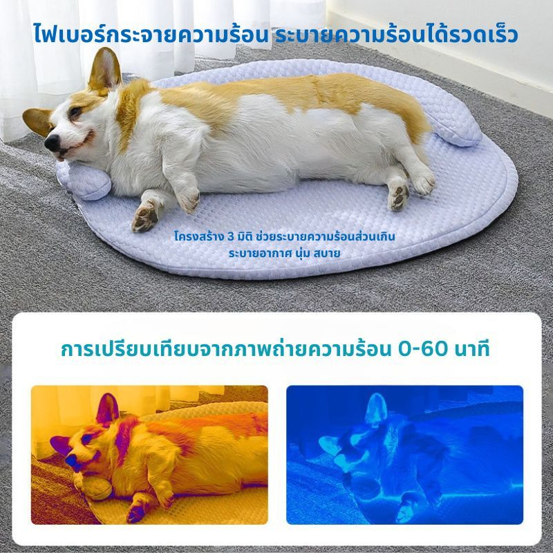 ที่นอนสําหรับสัตย์เลี้ยง สําหรับน้องหมาน้องแมว ที่นอนระบายอากาศ มี3ขนาด มีเนื้อผ้าที่ดี BJ3