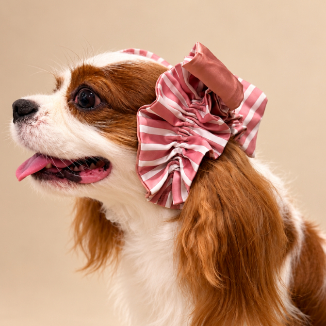 Pups&Pals Double Scrunchie โดนัทยกหูกันเลอะ สําหรับสุนัขและแมว