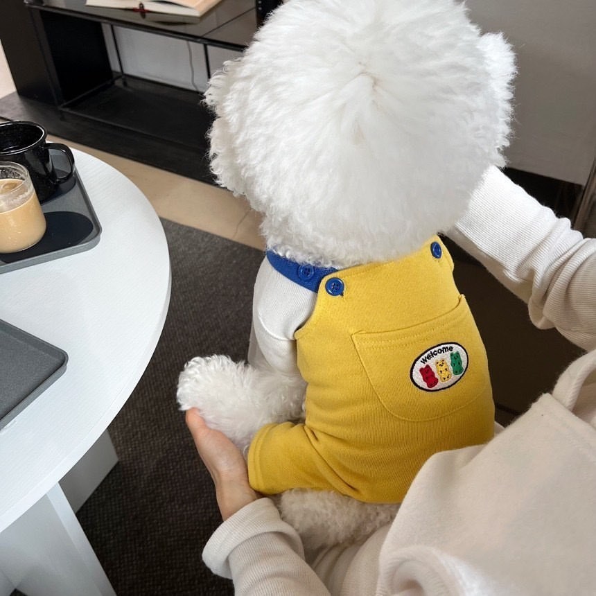 Hipidog】กางเกงสายรัดสุนัขและแมวสุนัขขนาดเล็กกางเกงสี่ขาเสื้อผ้าสัตว์เลี้ยง