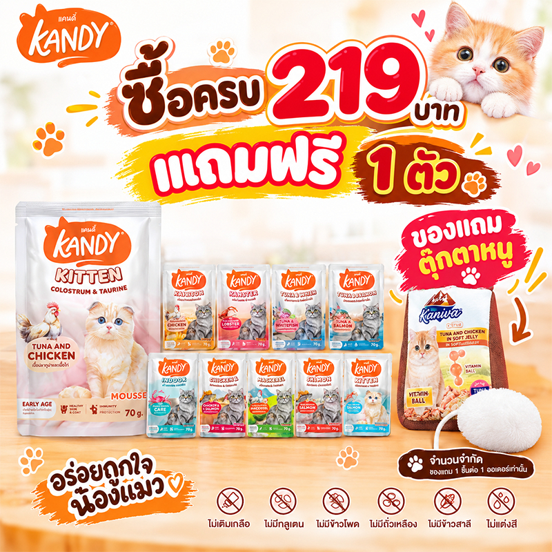 Kandy แคนดี้ อาหารเปียกแมว ไม่ใส่เกลือ ผลิตจากปลาเนื้อขาว ขนาด 70 กรัม