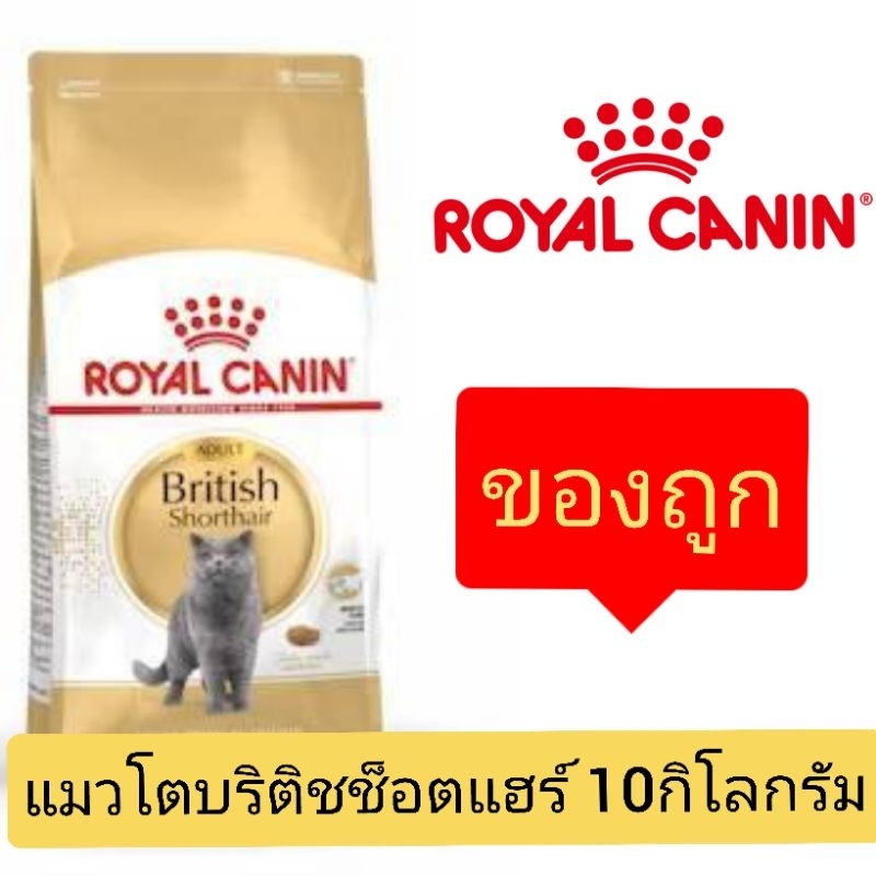 กระสอบ10kg] Royal Canin British Shorthair สําหรับแมวพันธุ์บริติชโต1ปีขึ้นไป ขนาด10กิโลกรัม