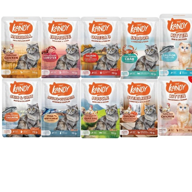 ยกโหล 12ซอง] Kandy แคนดี้ อาหารเปียกแมว ไม่ใส่เกลือ ผลิตจากปลาเนื้อขาว ขนาด 70 กรัม