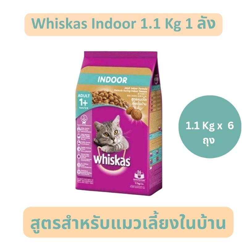 Whiskas Indoor 1 ลัง อาหารเม็ดวิสกัสสําหรับแมวเลี้ยงในบ้าน 1.1 Kg