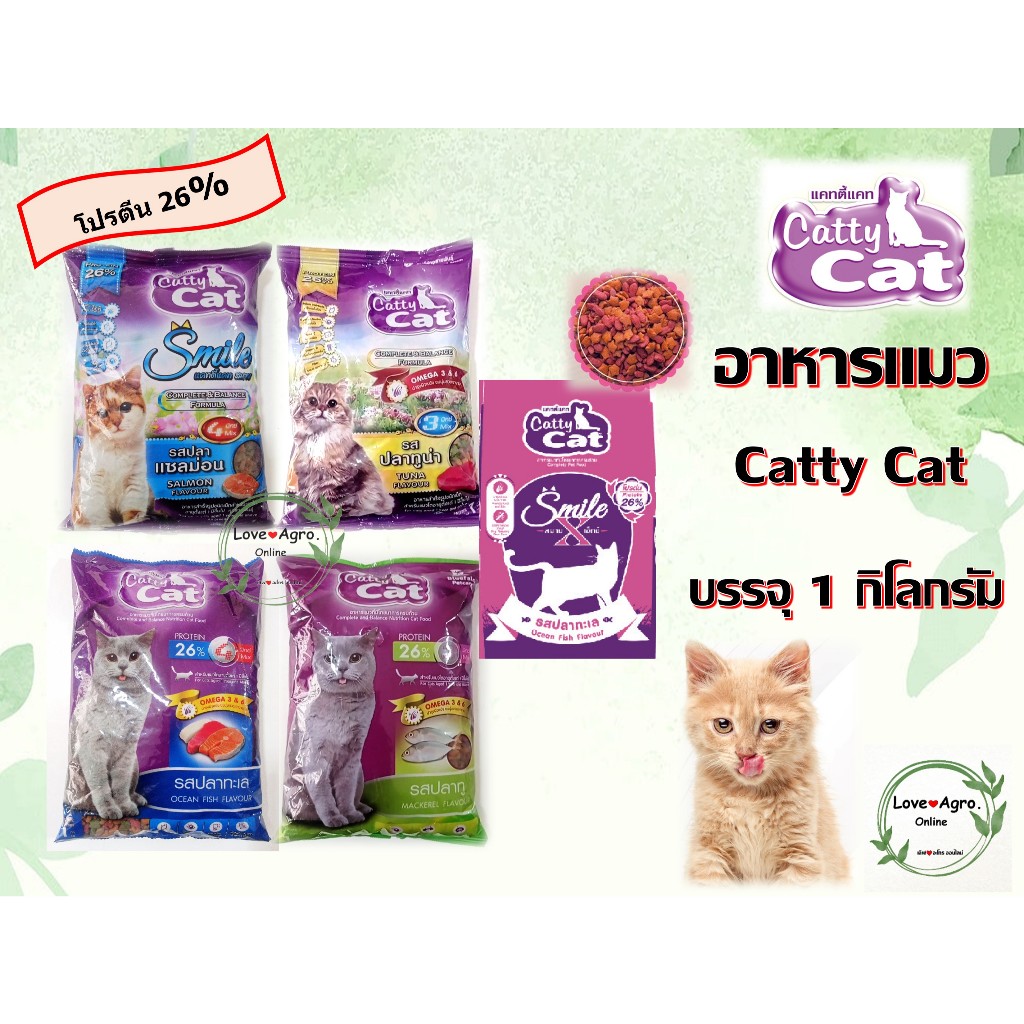 อาหารแมวราคาถูก Catty Cat แคทตี้แคท แบบเม็ด บรรจุ 1 กิโลกรัม