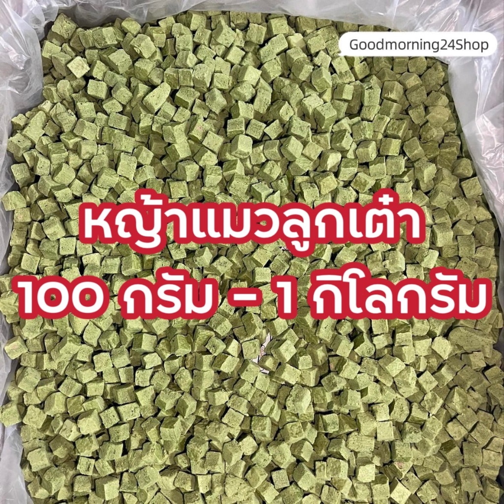 GMN ฟรีซดรายหญ้าแมวลูกเต๋า ขนาด 100กรัม-500กรัม ขนมแมว ขนมหมา สดใหม่ สุดคุ้ม น้ําหนักเต็มปริมาณ ต้นอ่อนข้าวสาลีผสมอกไก่