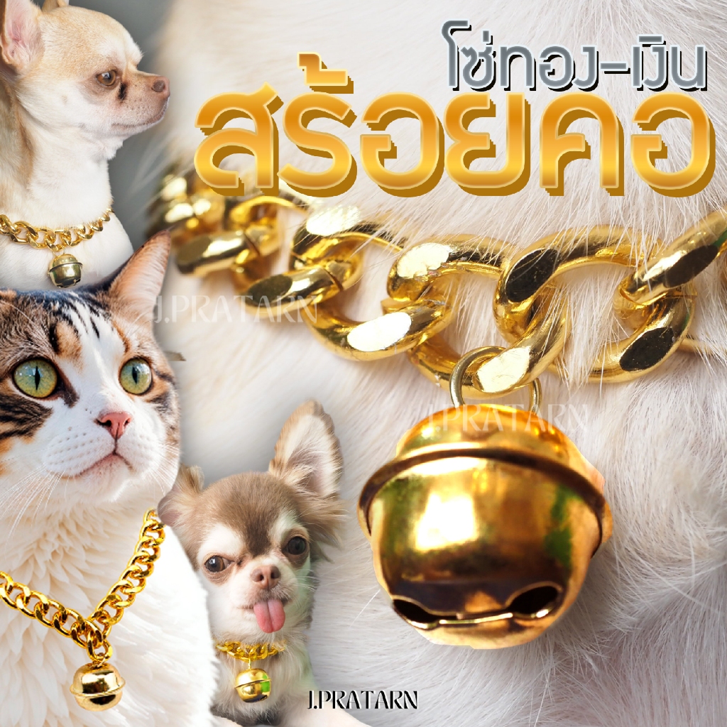 สร้อยคอสัตว์เลี้ยง โซ่ทอง/เงิน ปลอกคอสุนัข แมว มีกระพรวน กระดิ่ง สร้อยอะลูมิเนียม