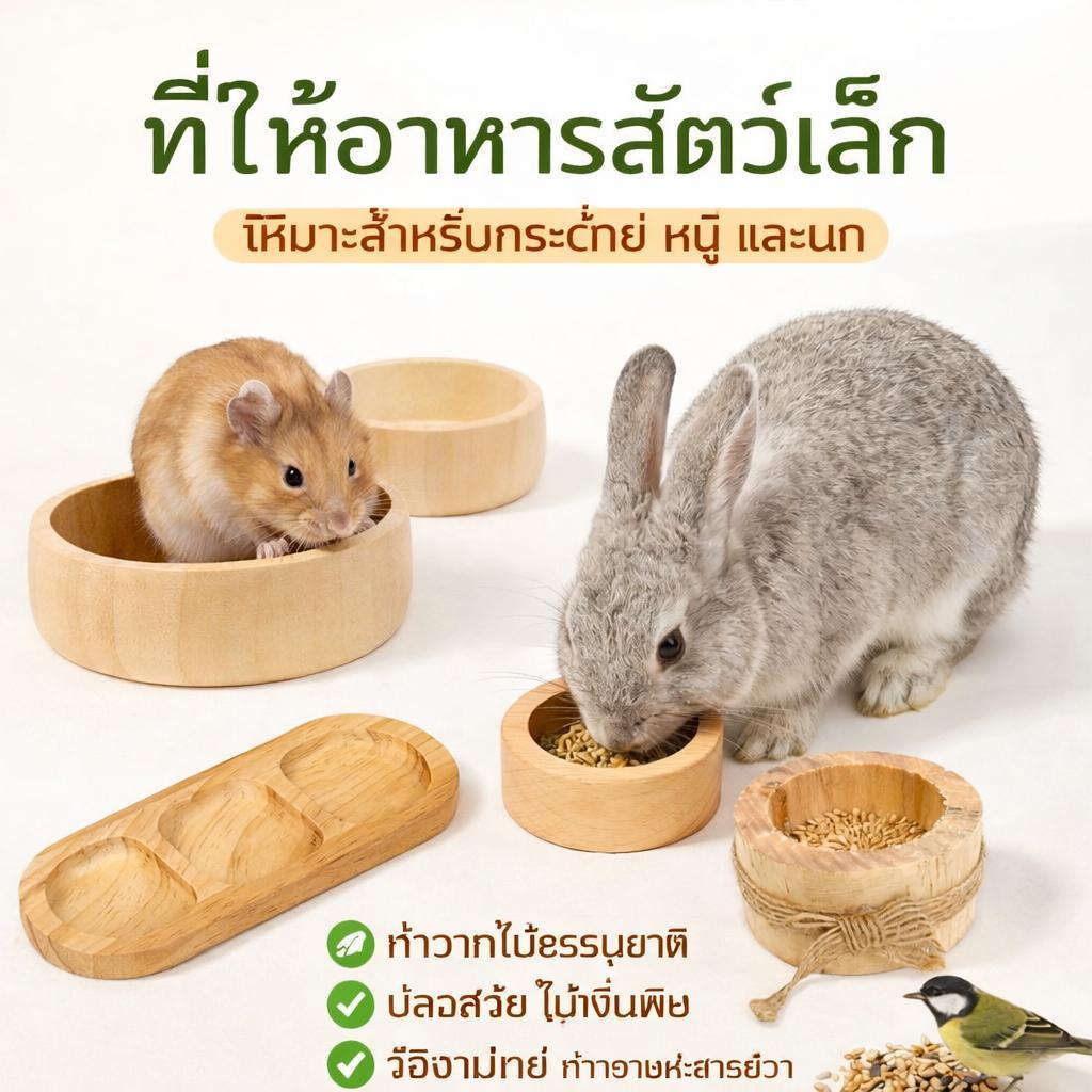 ถ้วยไม้ใส่อาหาร ธรรมชาติ ชามอาหารสัตว์เล็ก ถ้วยอาหารแมว สําหรับแฮมสเตอร์ กระต่าย ชินชิล่า