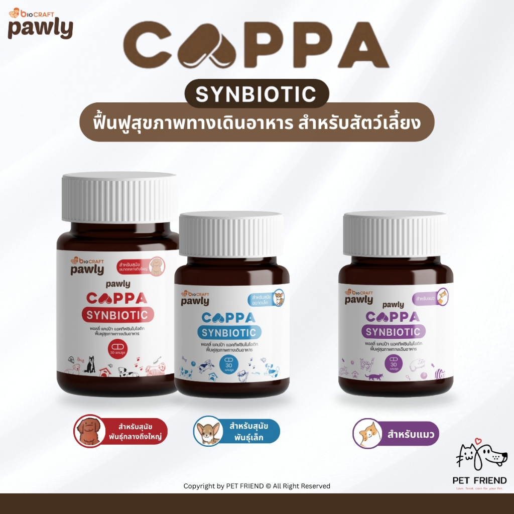 CAPPA Synbiotic 🐶🐱 ผลิตภัณฑ์รักษาสมดุลในระบบทางเดินอาหาร สําหรับสุนัขและแมว
