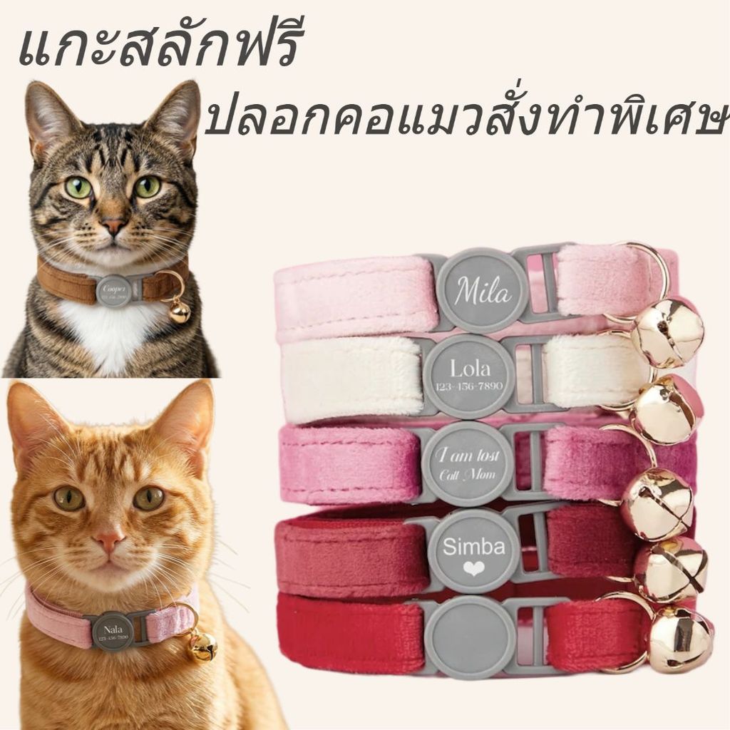 คอแมวส่วนบุคคลชุดผูกโบว์,ปลอกคอแมวนิรภัย,ปลอกคอแมวกํามะหยี่,ปลอกคอแมวที่กําหนดเองพร้อมชื่อแกะสลัก,สลักชื่อสัตว์เลี้ยงสลักชื่อ