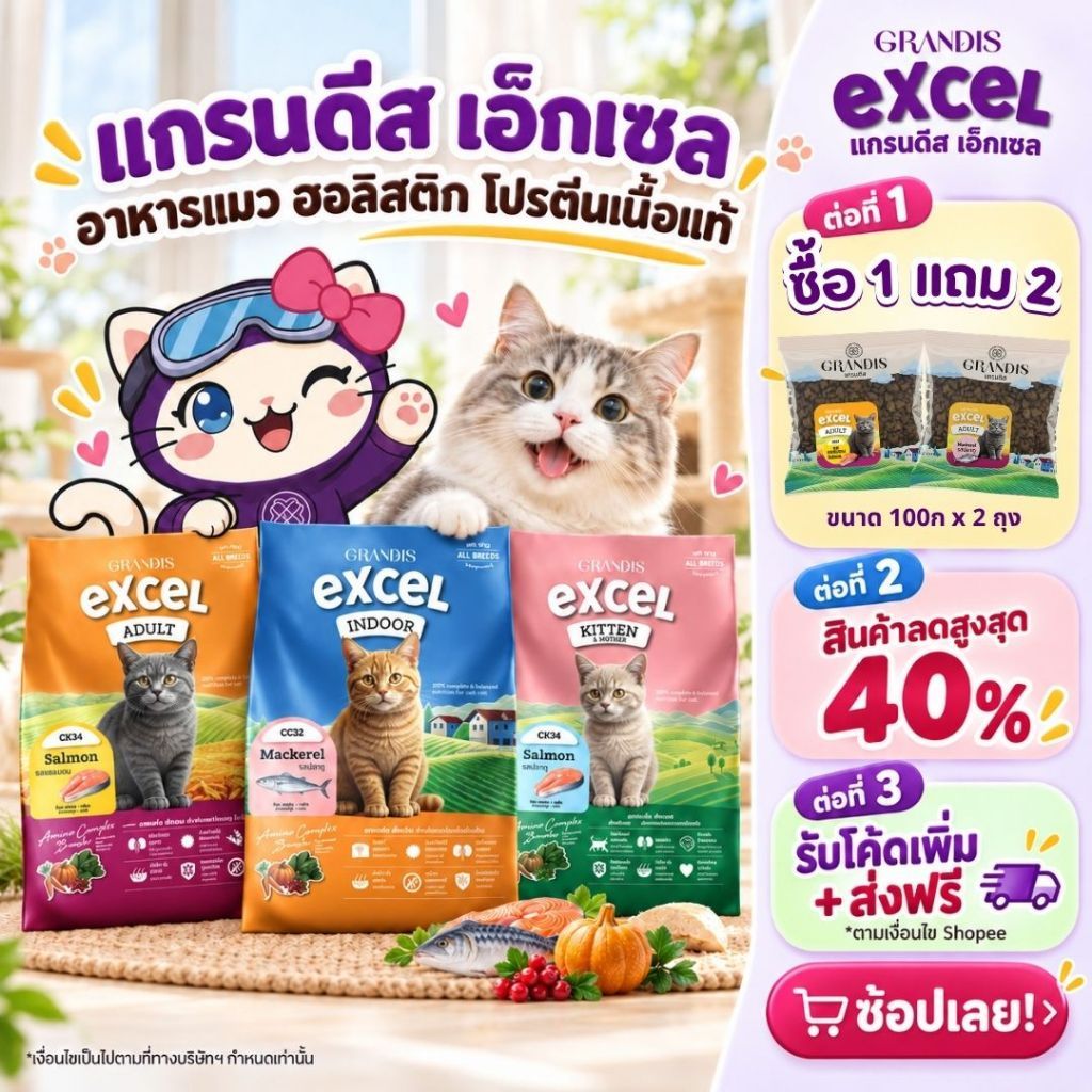 ซื้อ 1กก แถมฟรี 100ก x 2ถุง] แกรนดีส เอ็กเซล (1กก) อาหารแมว Holistic เกรดพรีเมี่ยม GRANDIS EXCEL