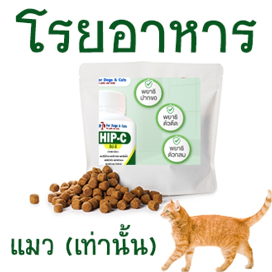 เสริมอาหาร สร้างภูมิคุ้มกัน ต่อต้านปอสิต ชนิดโรย สําหรับแมว (ปุกเขียว) บรรจุ 10 ชิ้น