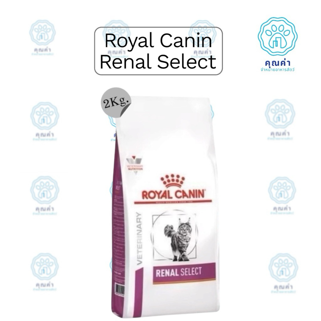 Royal Canin (RENAL SELECT)(2kg) อาหารแมว สําหรับแมวที่เป็นโรคไตเรื้อรัง ชนิดเม็ด